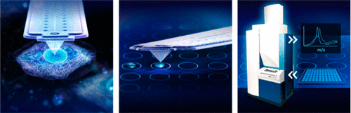 2017-single-cell mass spectrocsp.gif